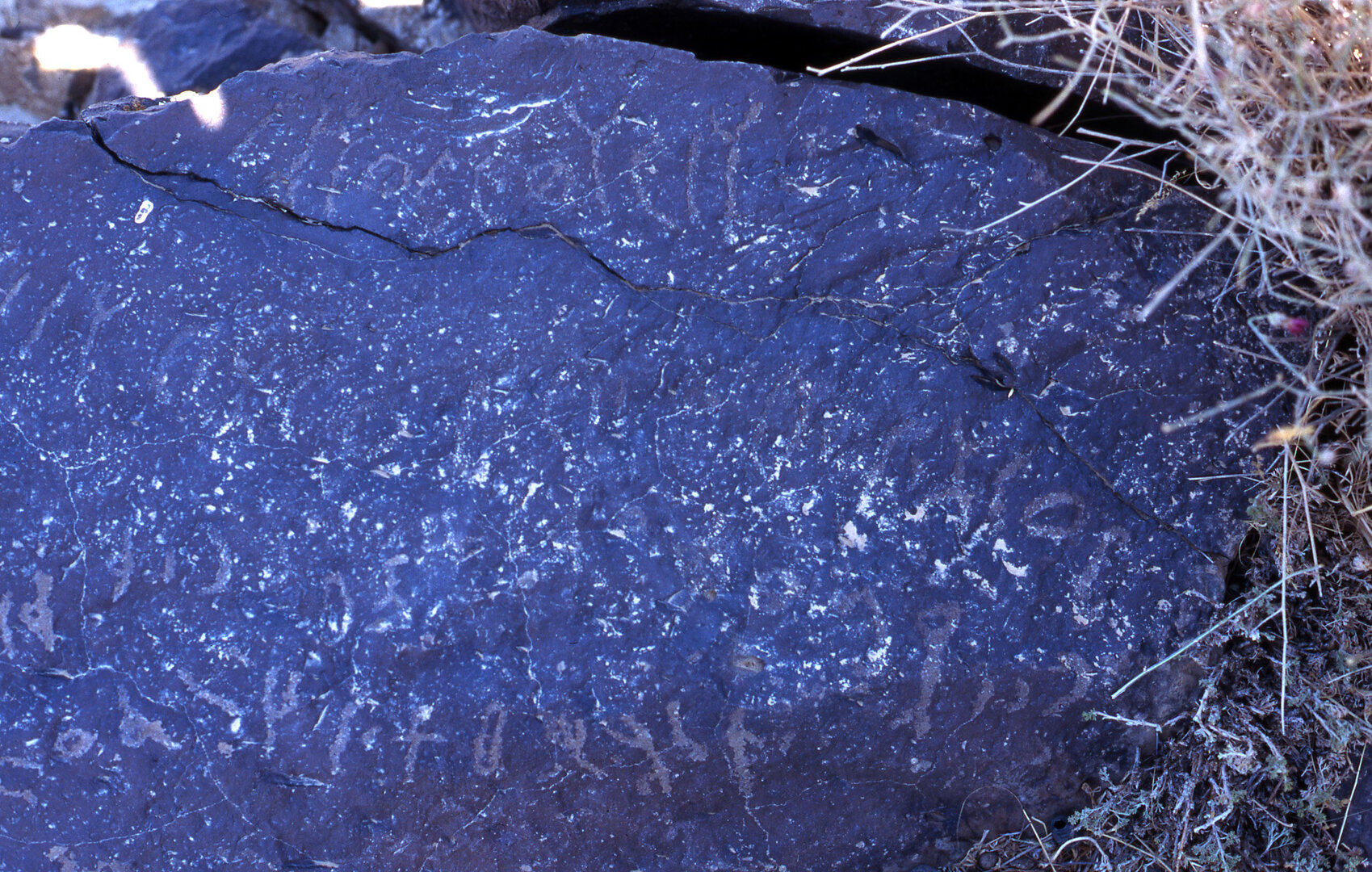 inscription of siglum C 4042
