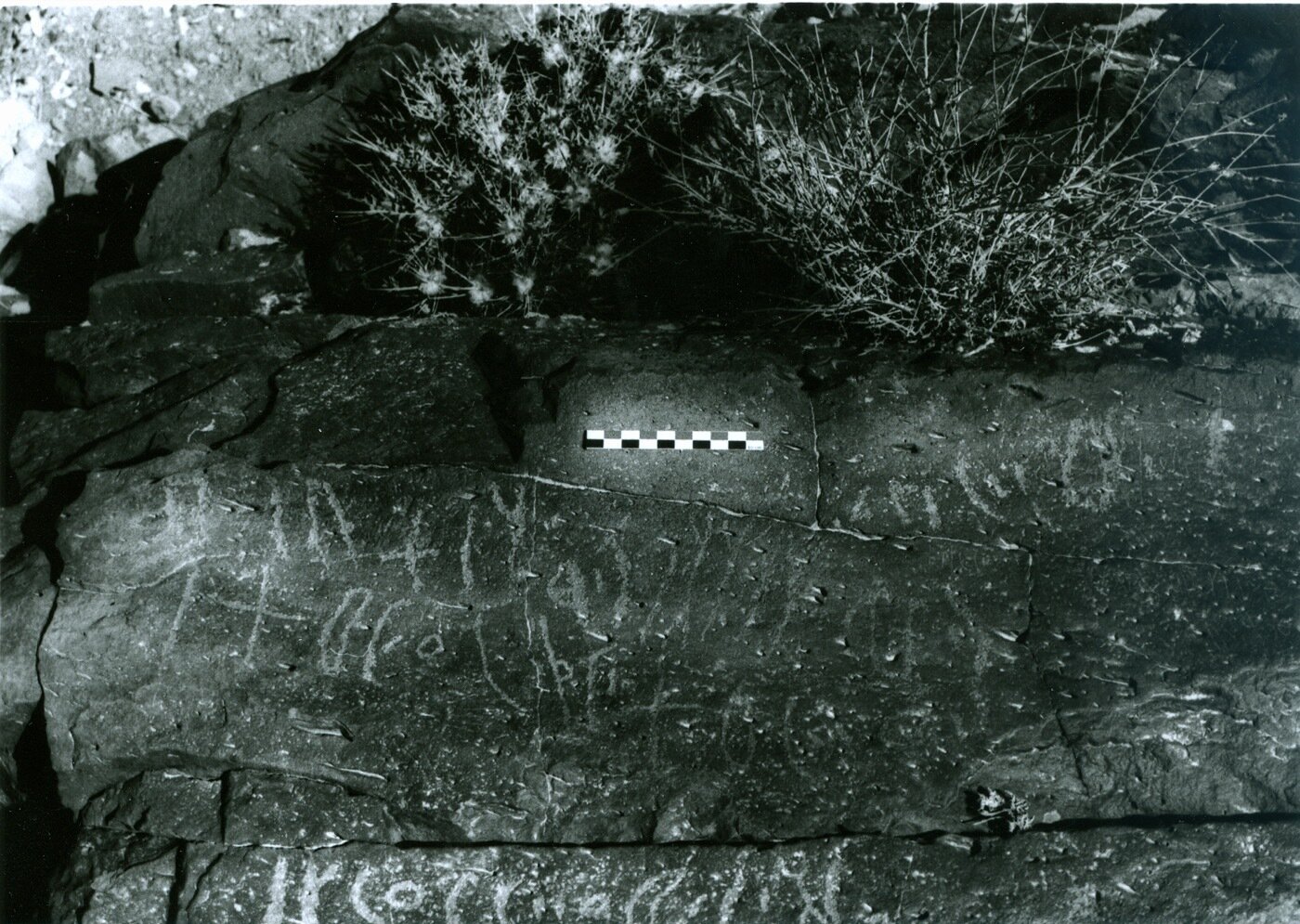 inscription of siglum C 4043