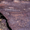 inscription of siglum C 4043