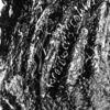 inscription of siglum C 4196