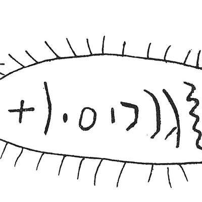 inscription of siglum C 4313