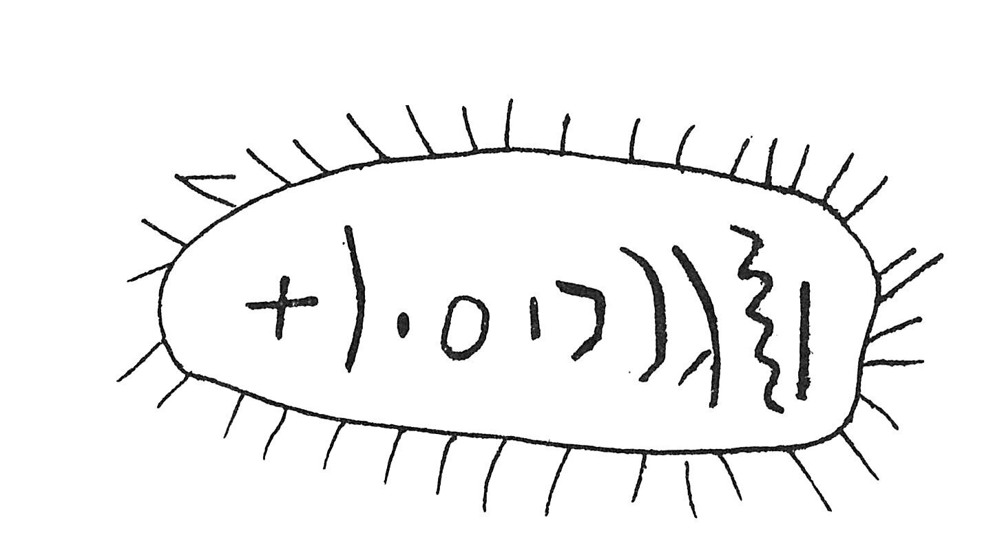 inscription of siglum C 4313