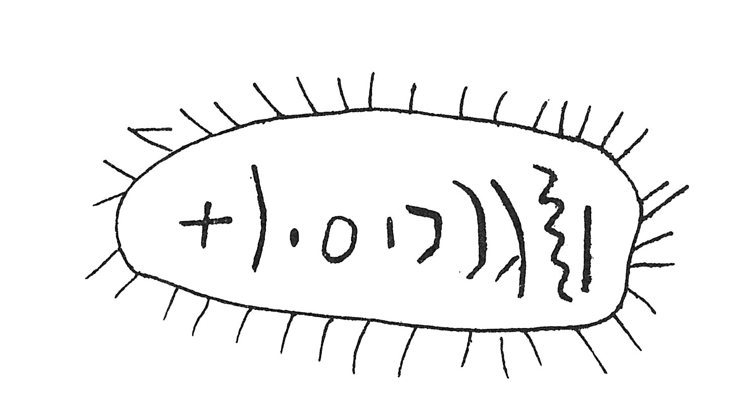 inscription of siglum C 4313