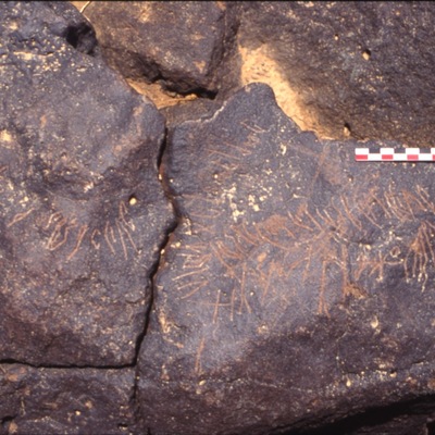 inscription of siglum C 4407