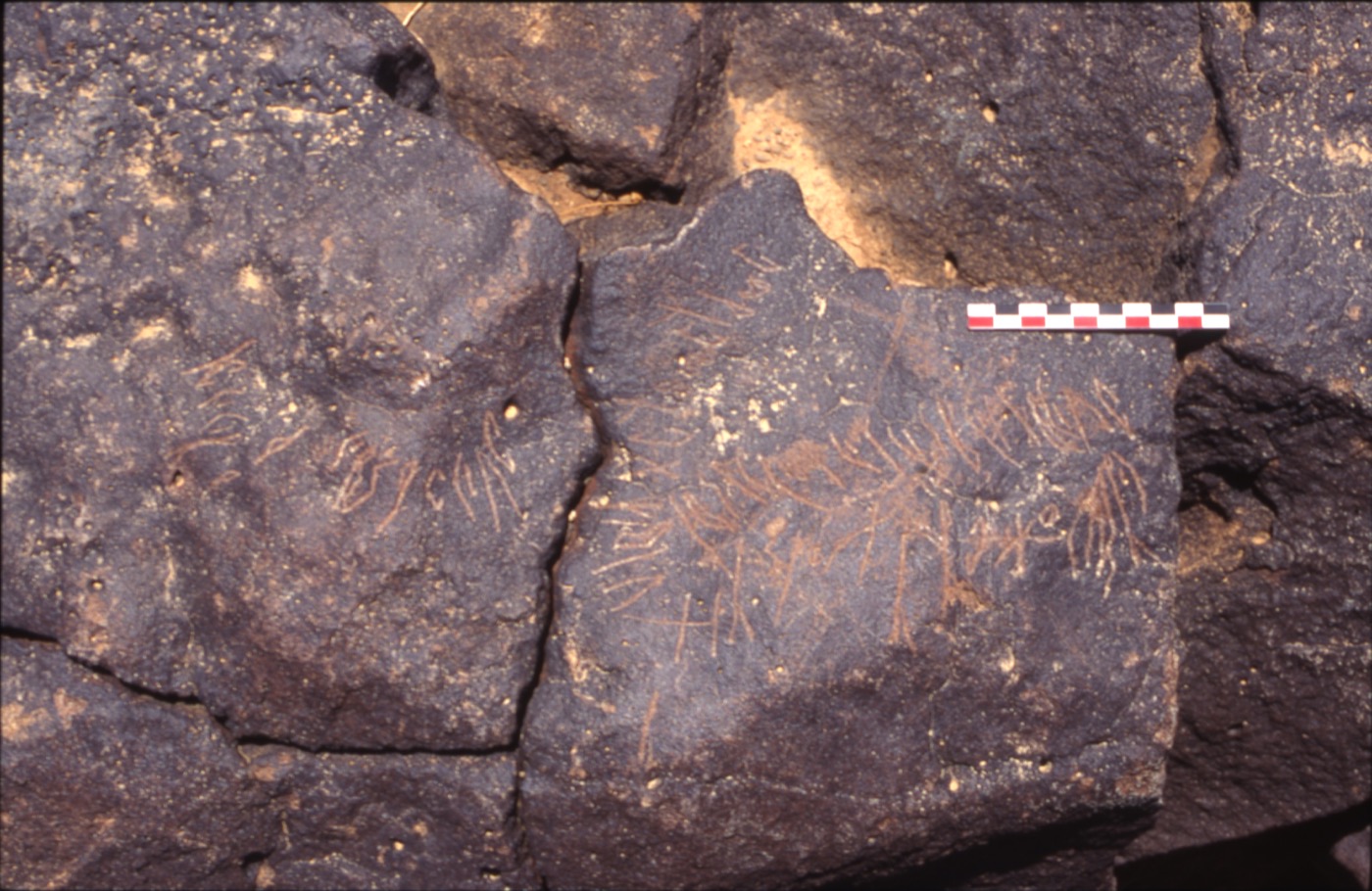 inscription of siglum C 4407