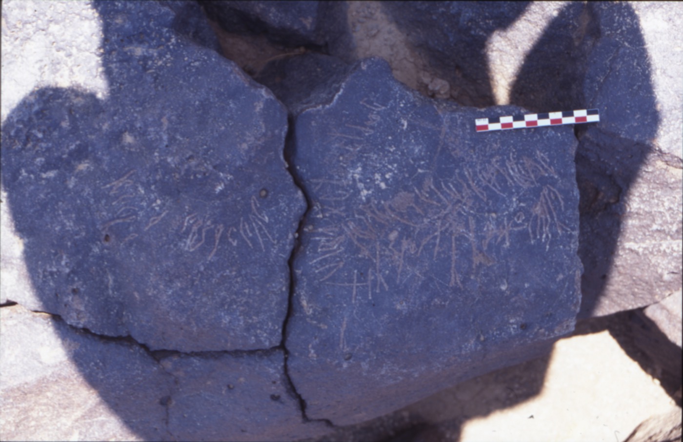inscription of siglum C 4407