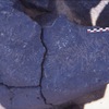 inscription of siglum C 4407