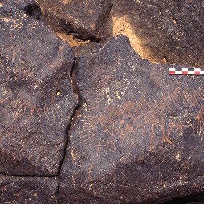 inscription of siglum C 4408