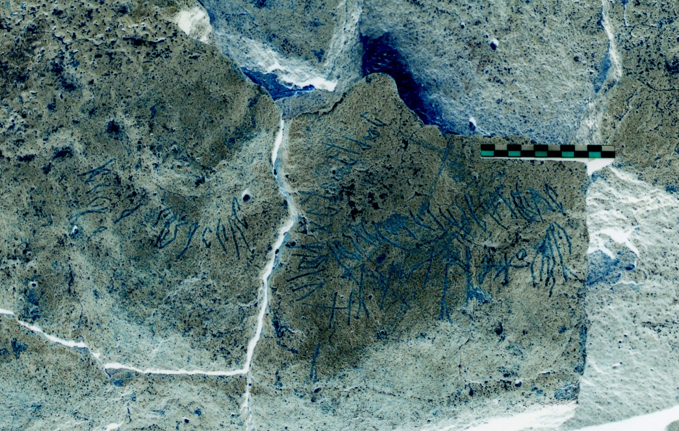 inscription of siglum C 4408