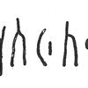 inscription of siglum C 4421