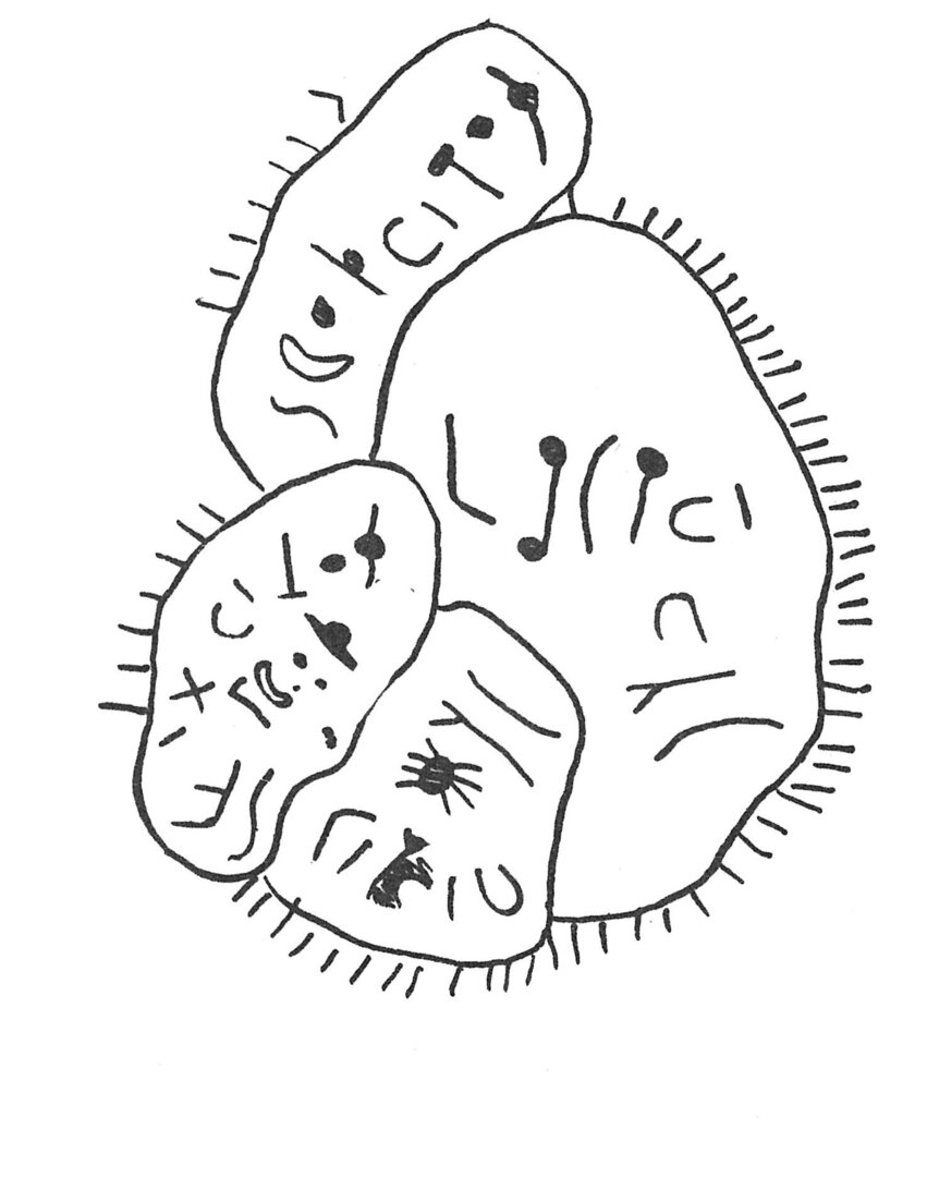 inscription of siglum C 4894