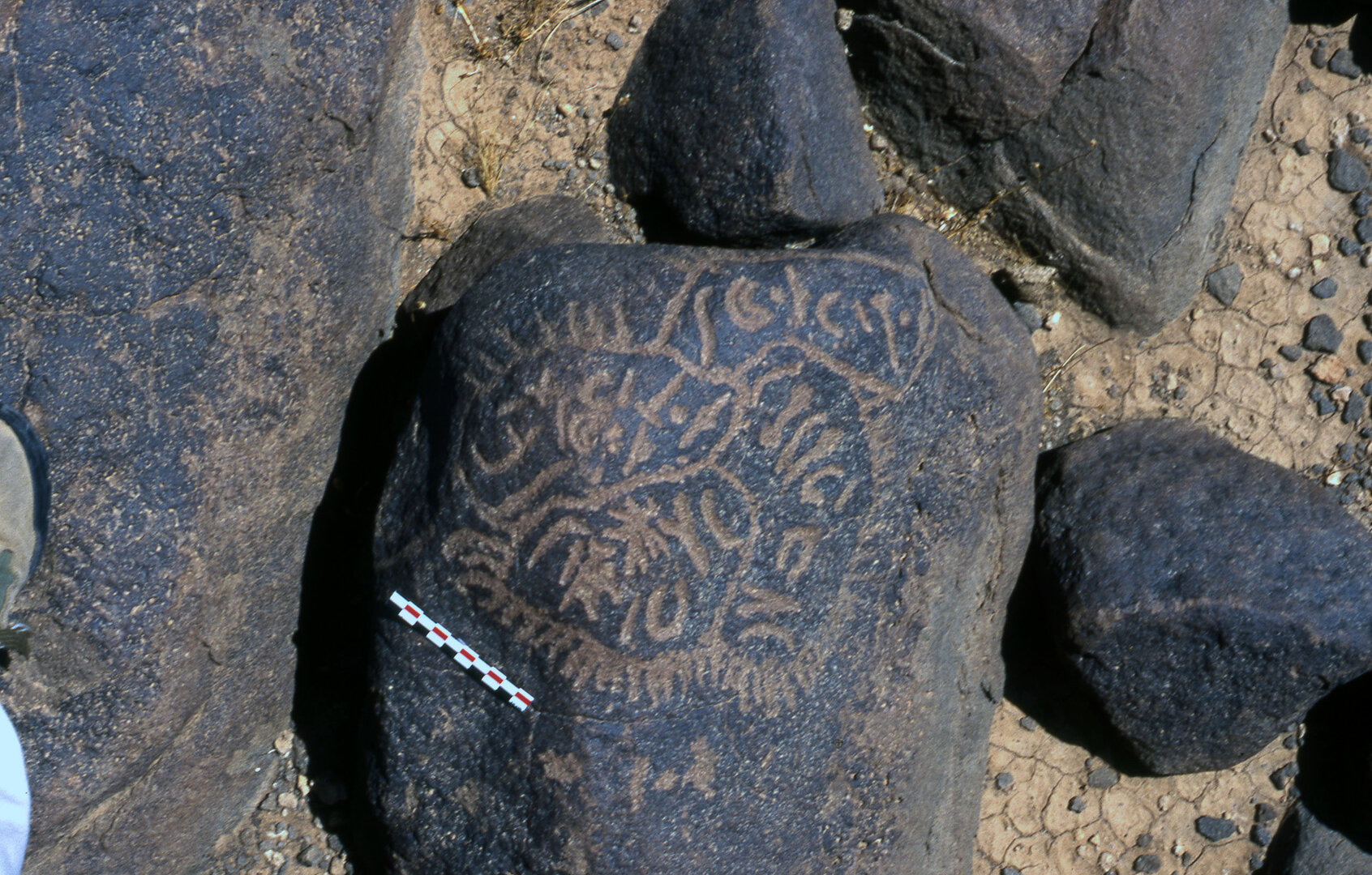 inscription of siglum C 4896