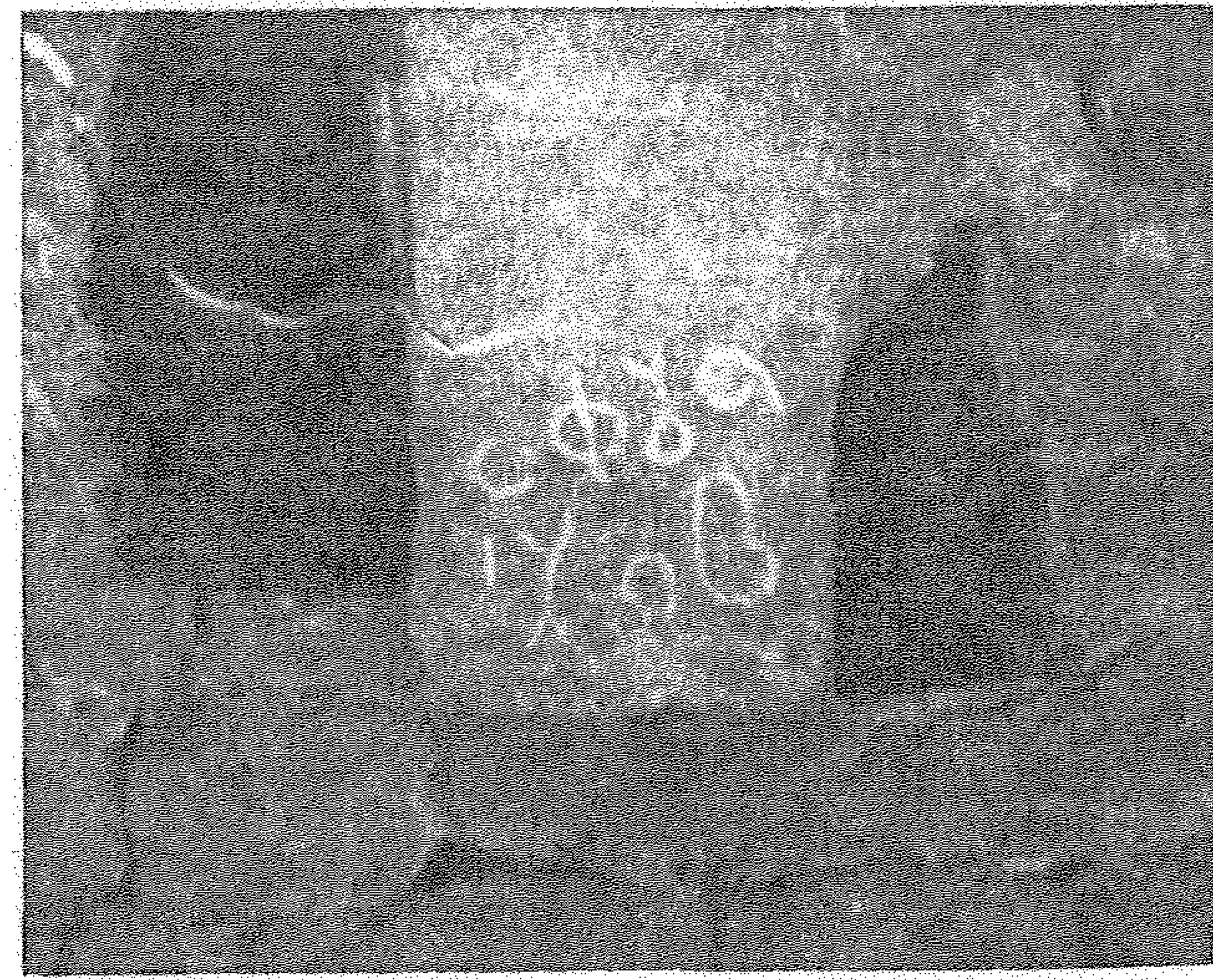 inscription of siglum C 5166