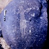 inscription of siglum C 5212