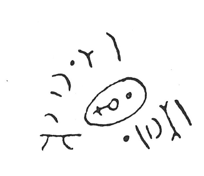 inscription of siglum C 5291
