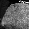 inscription of siglum C 551