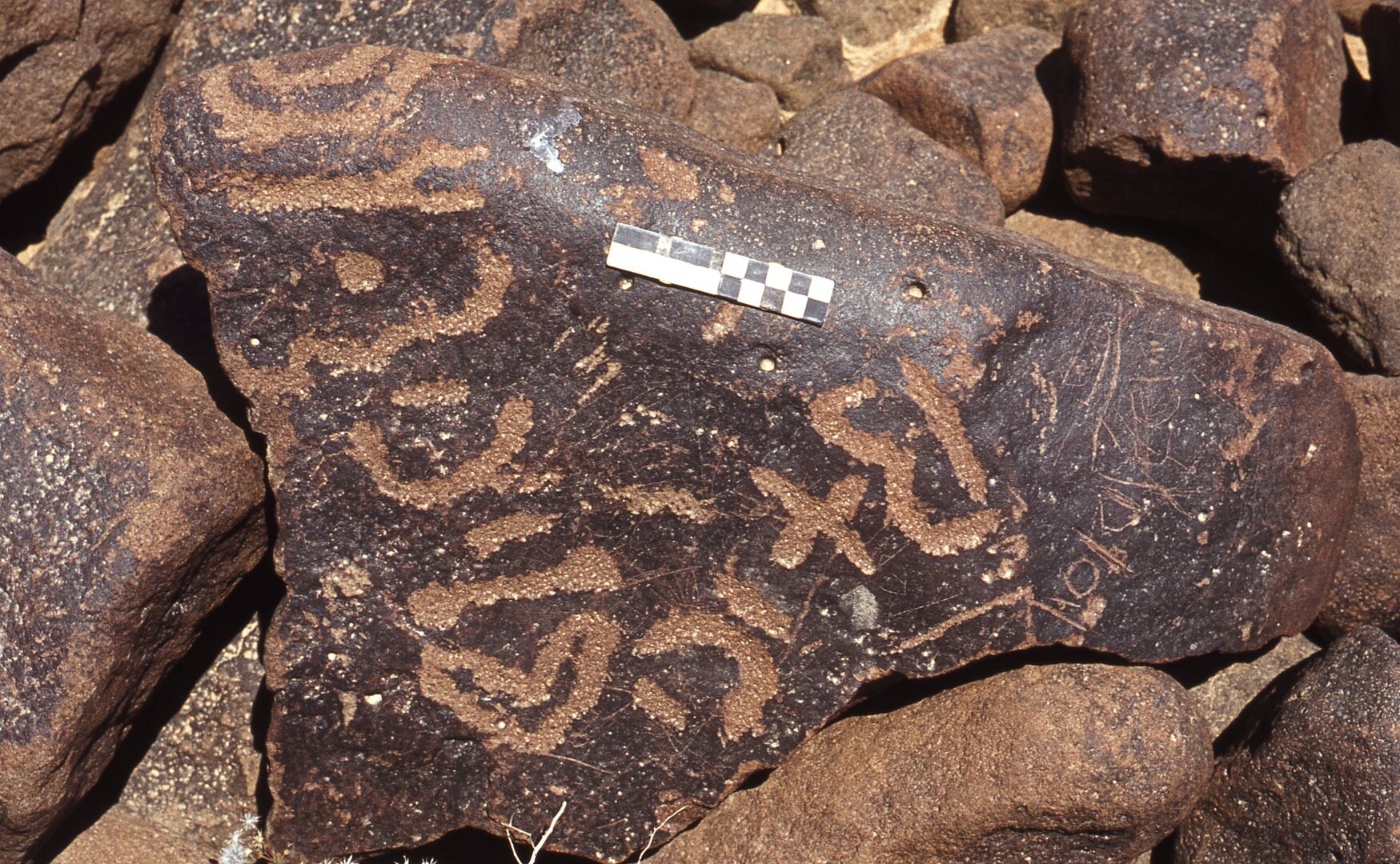 inscription of siglum CEDS 102