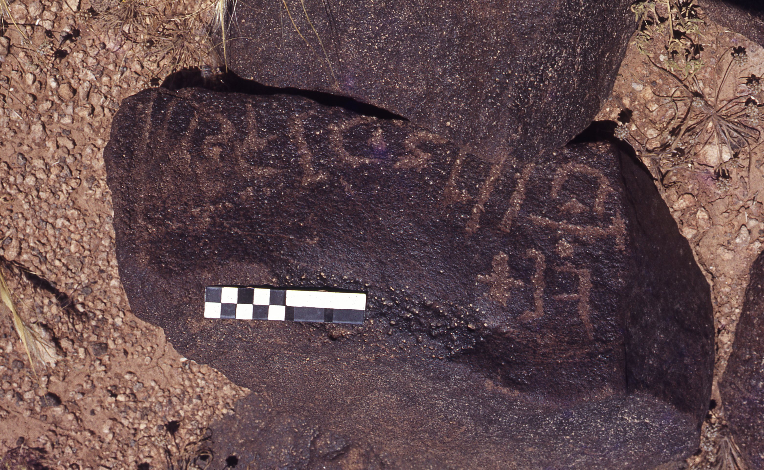 inscription of siglum CEDS 104