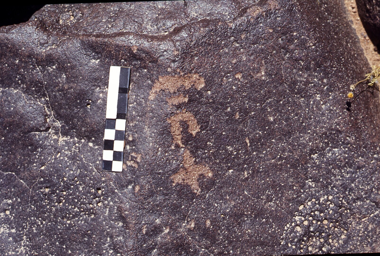 inscription of siglum CEDS 106