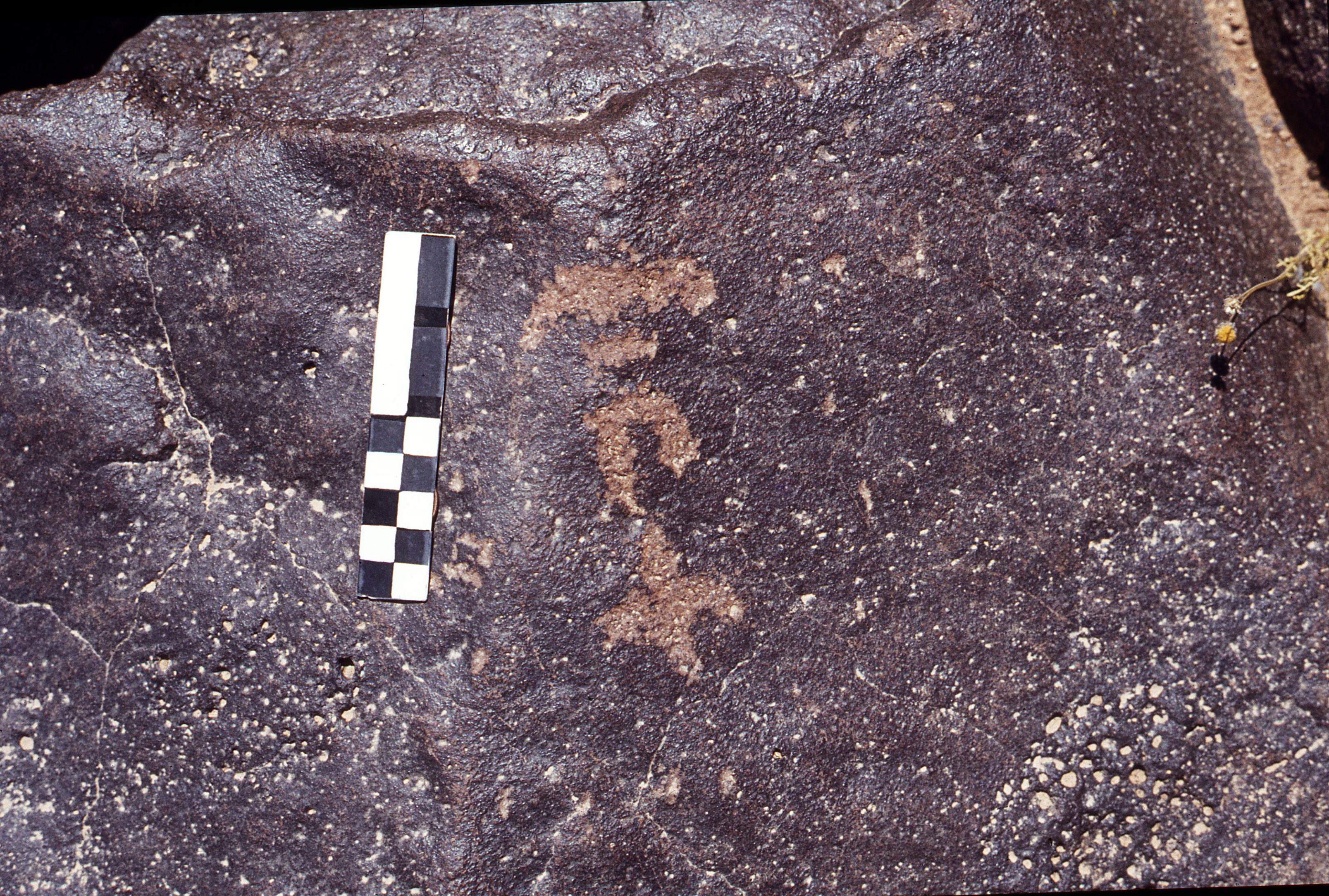 inscription of siglum CEDS 106