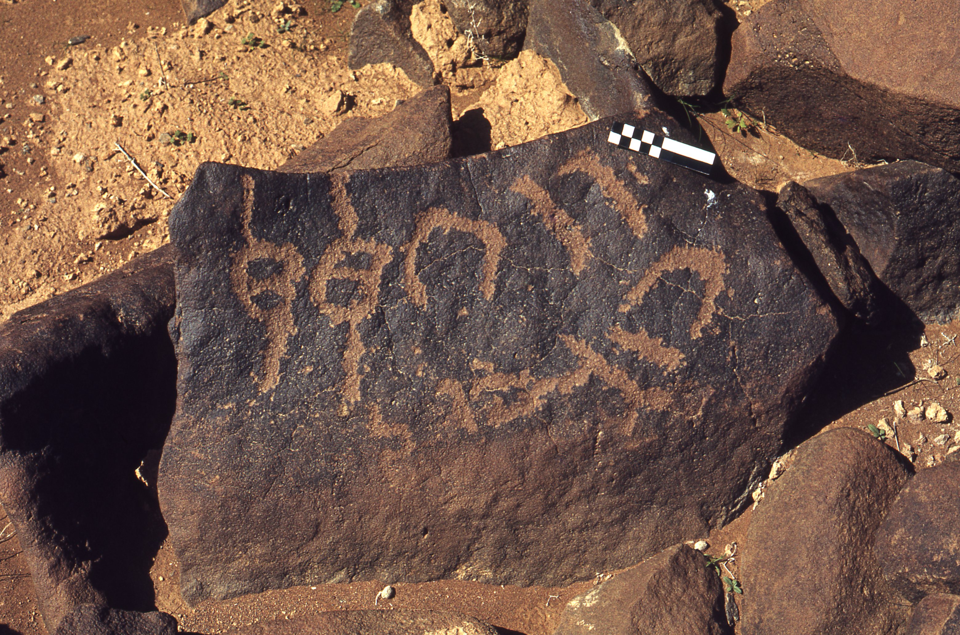 inscription of siglum CEDS 113