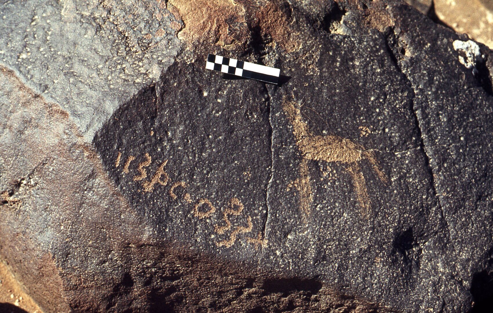 inscription of siglum CEDS 114