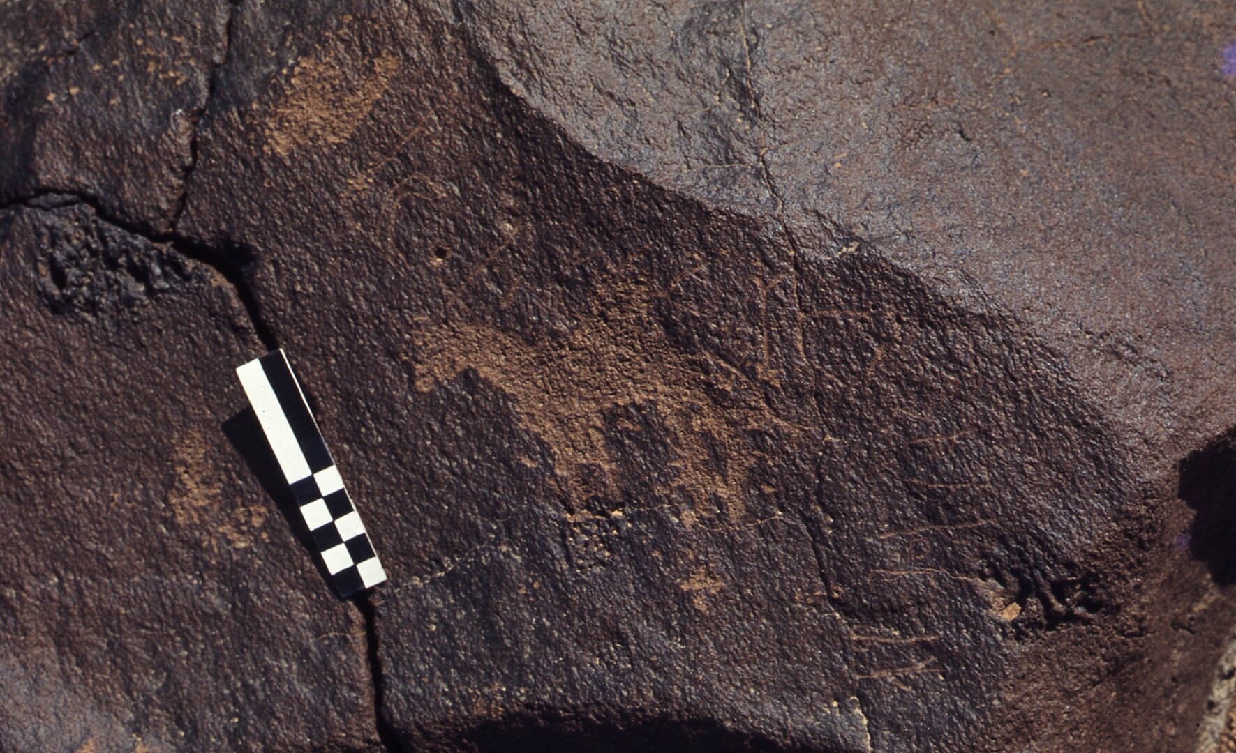 inscription of siglum CEDS 115