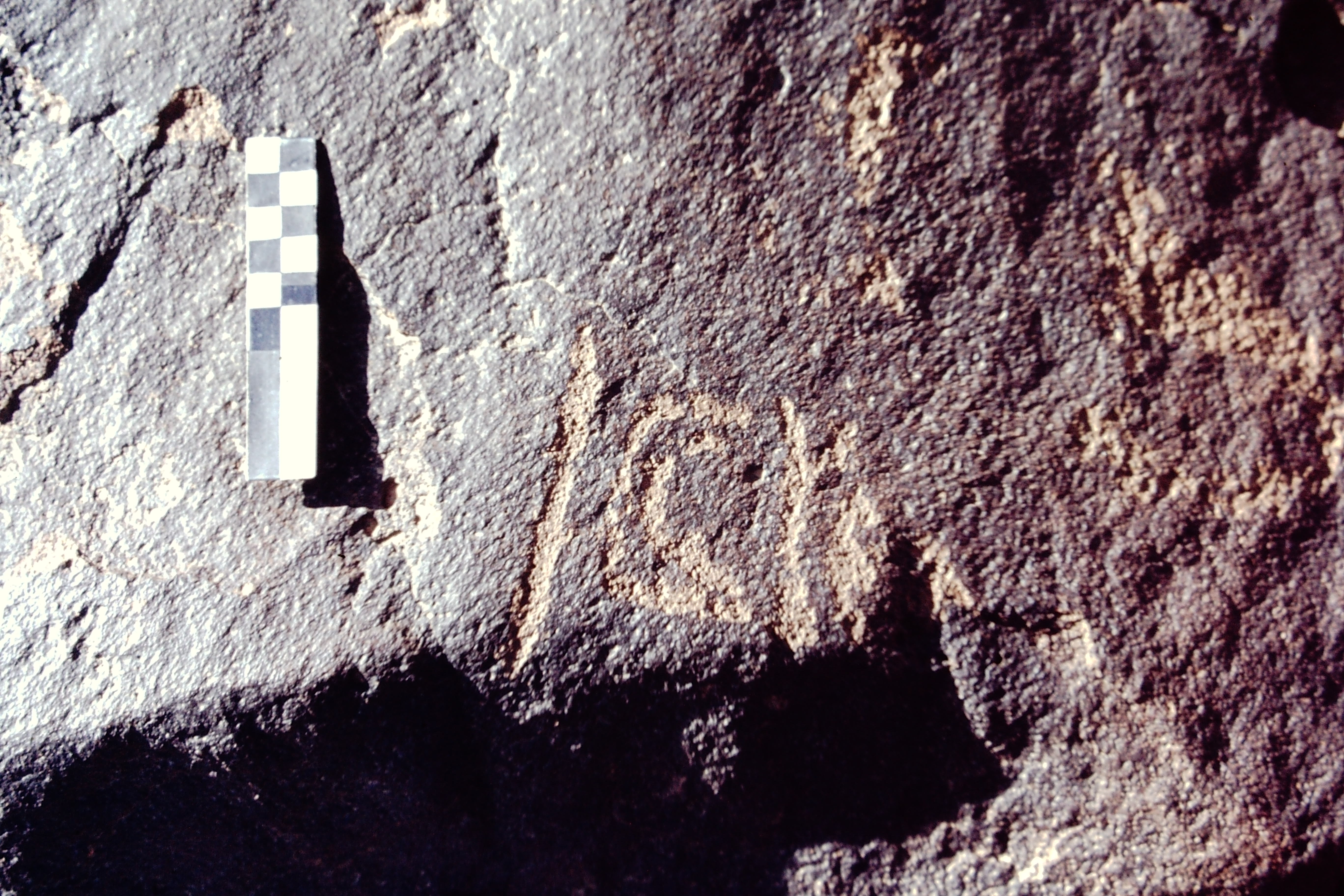 inscription of siglum CEDS 116