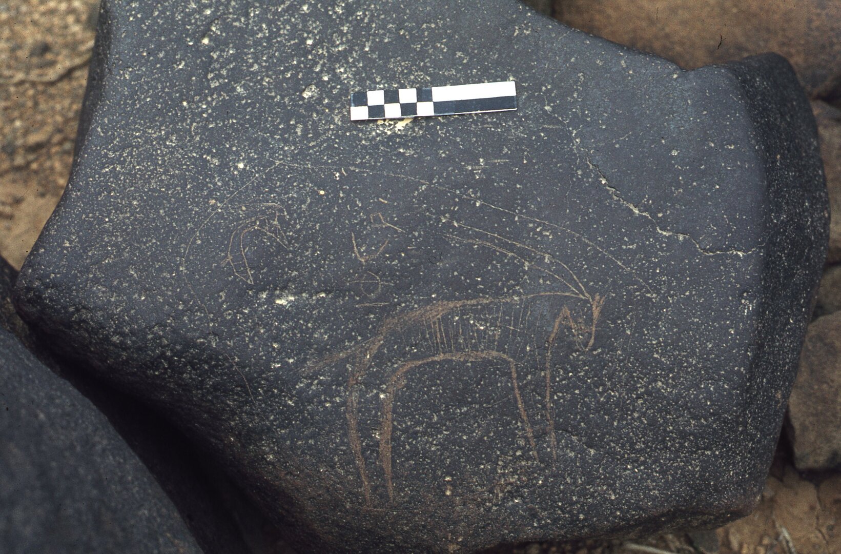 inscription of siglum CEDS 12