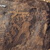 inscription of siglum CEDS 140