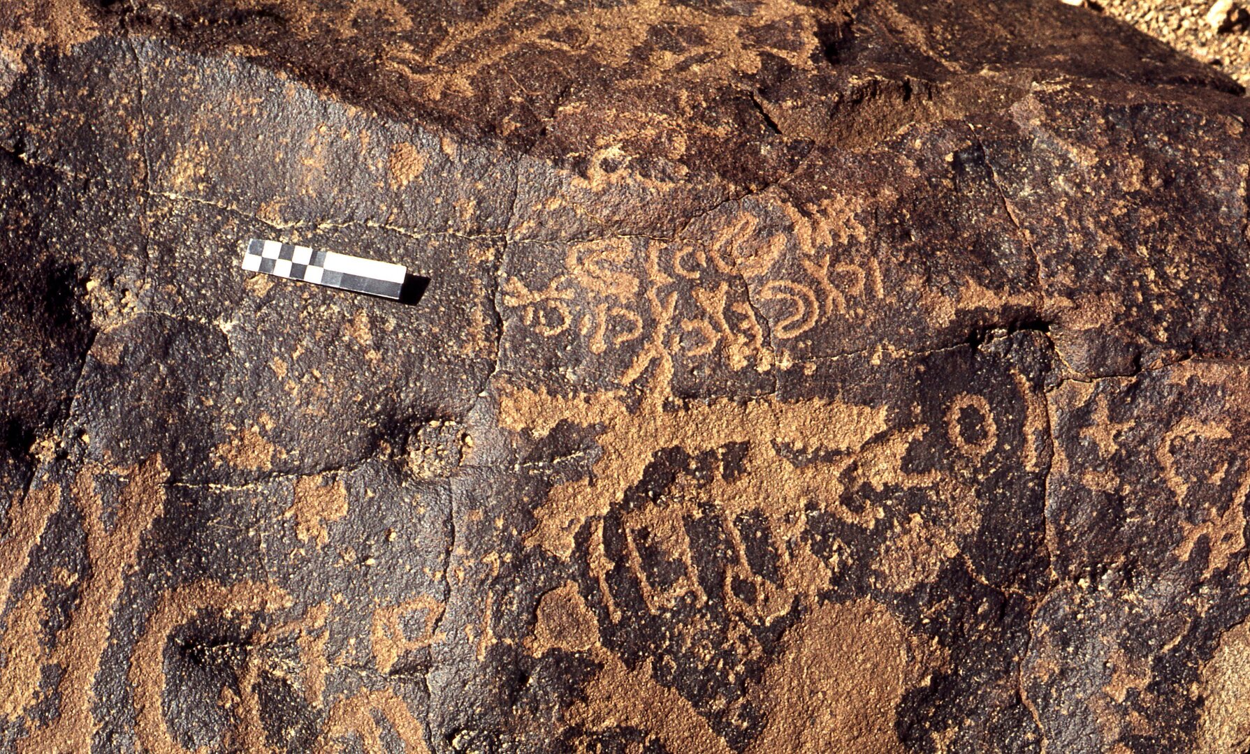 inscription of siglum CEDS 141