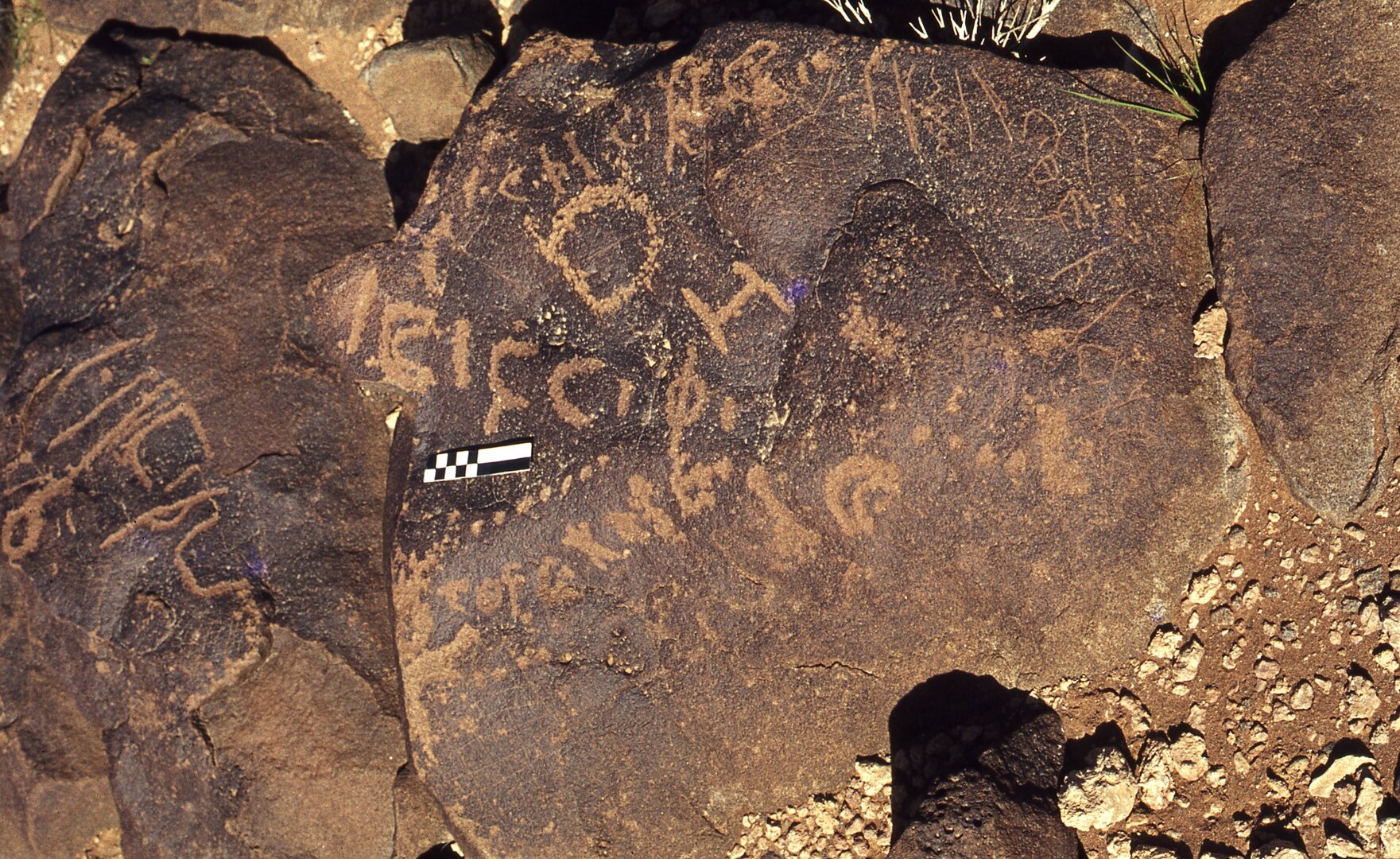 inscription of siglum CEDS 156