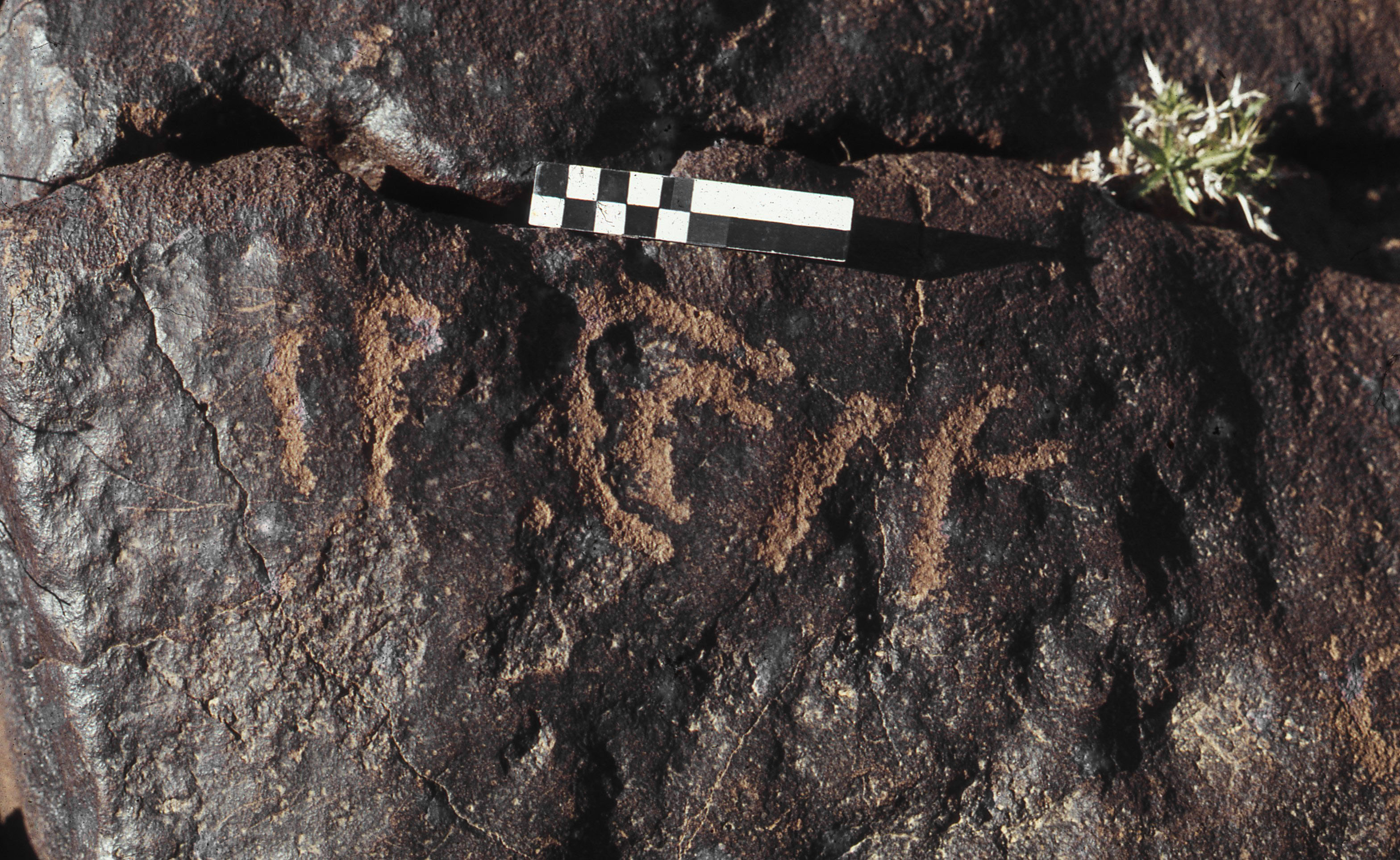 inscription of siglum CEDS 168