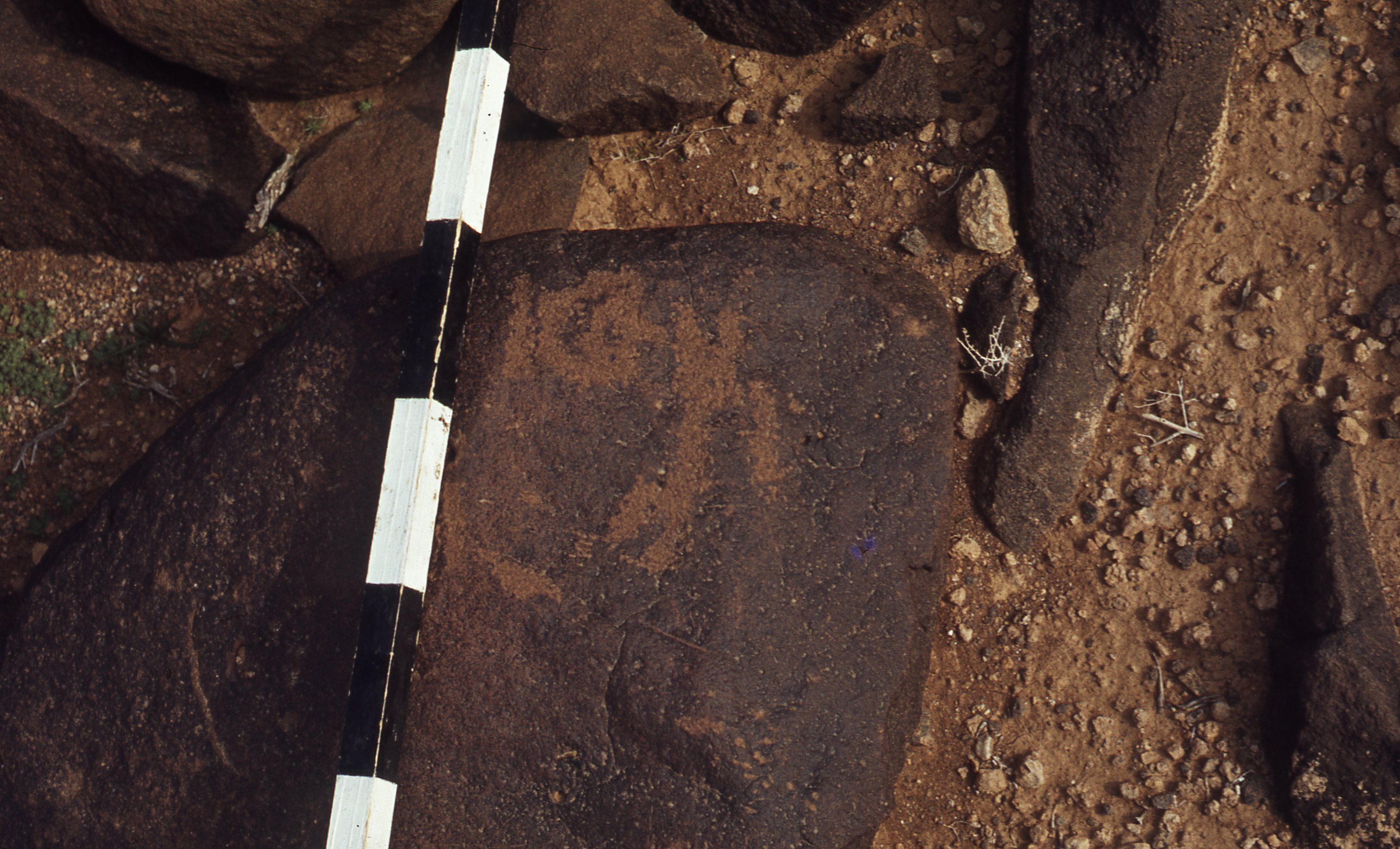 inscription of siglum CEDS 180