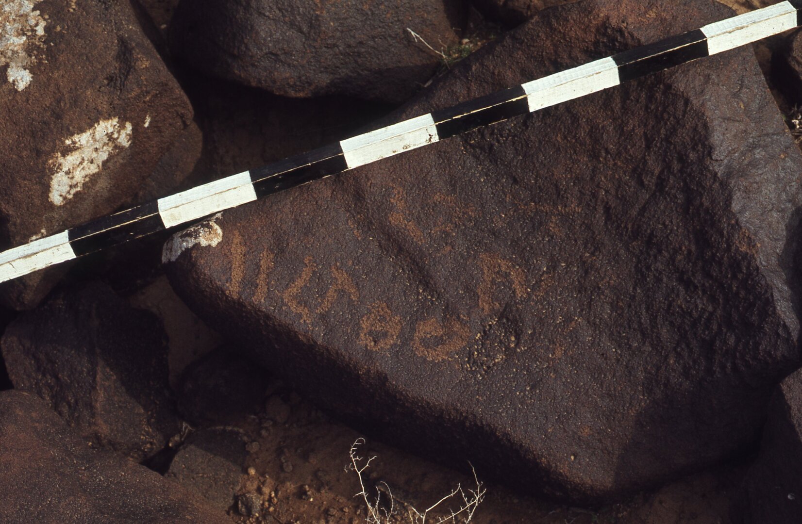 inscription of siglum CEDS 181
