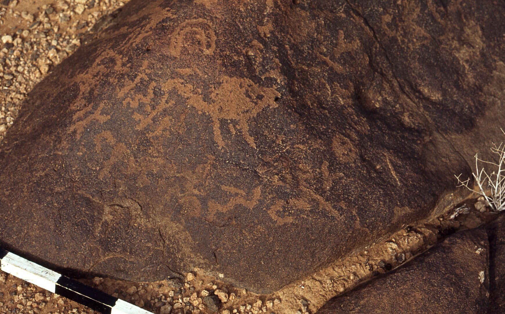 inscription of siglum CEDS 185