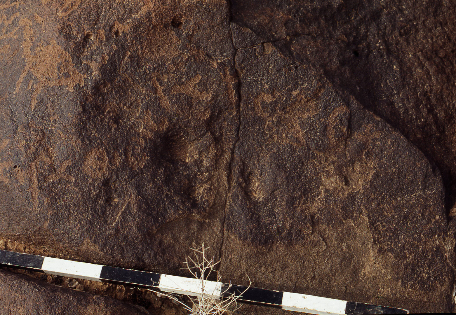 inscription of siglum CEDS 189