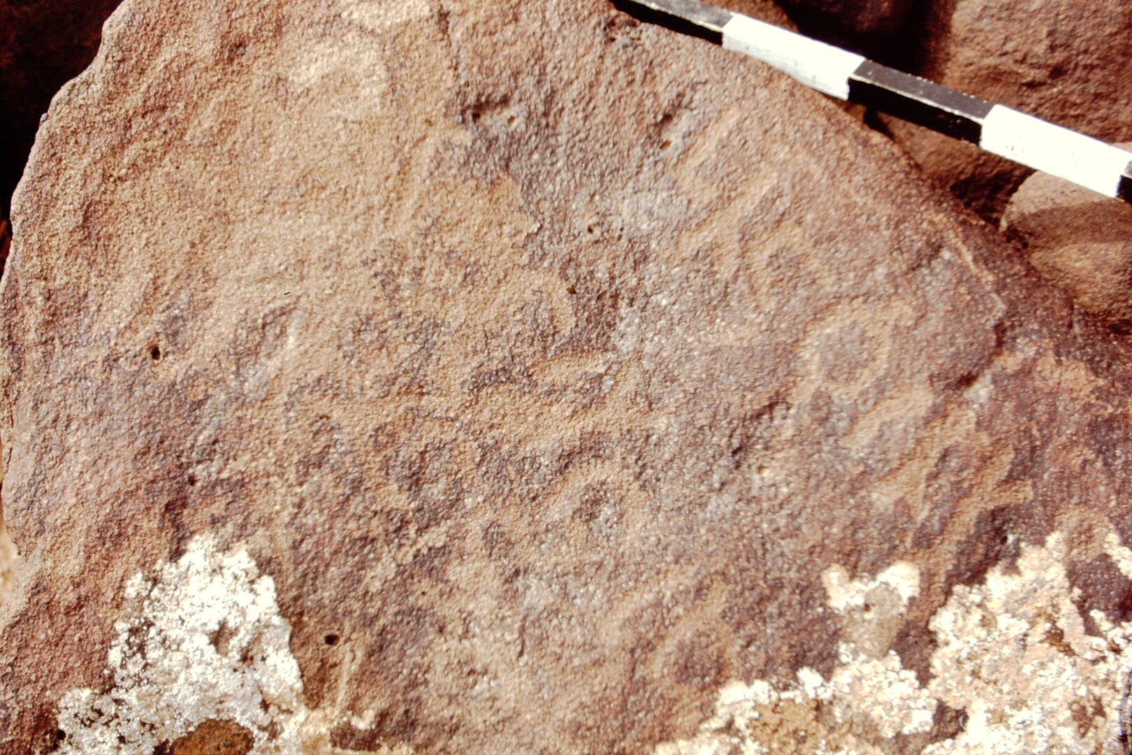 inscription of siglum CEDS 194