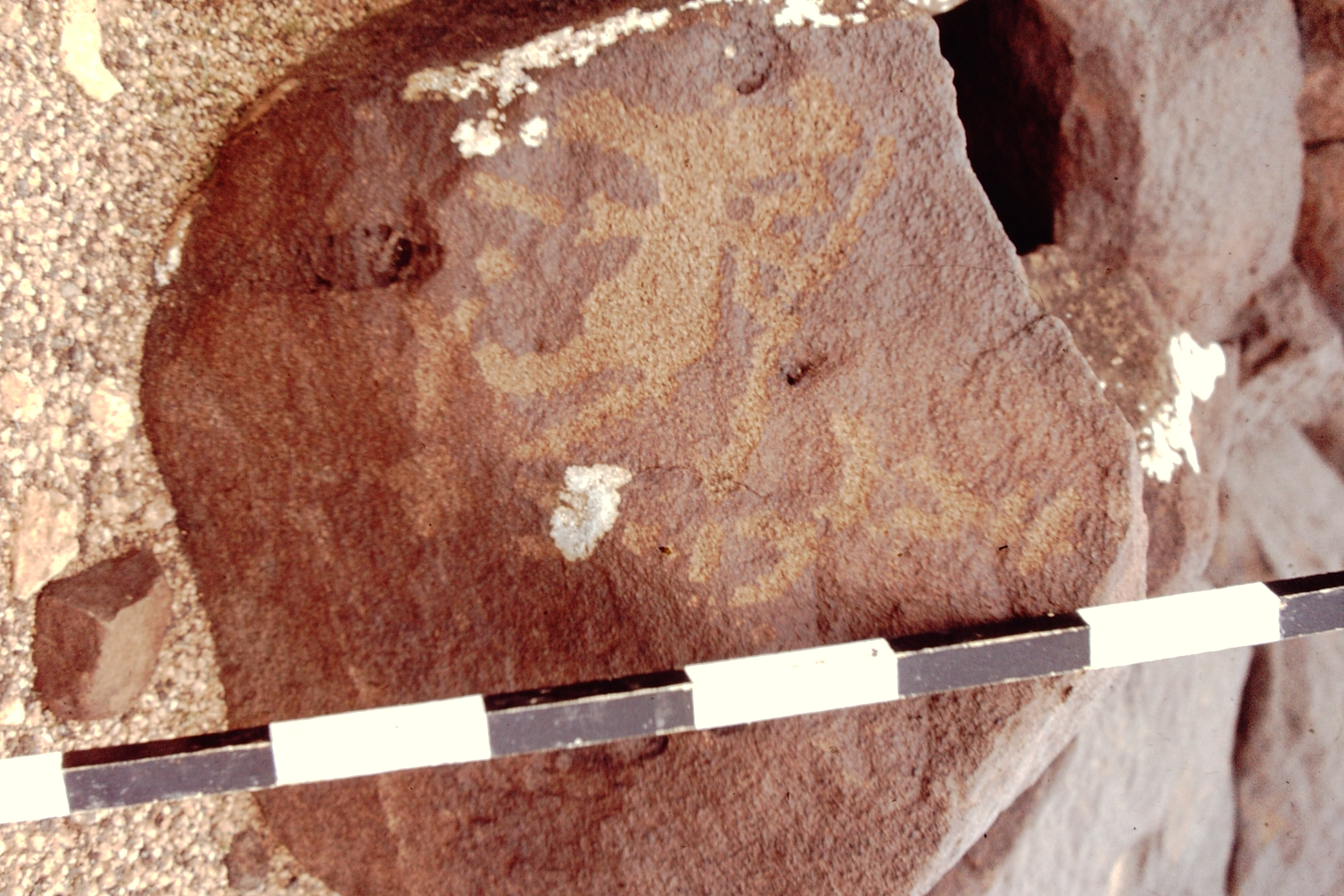 inscription of siglum CEDS 224