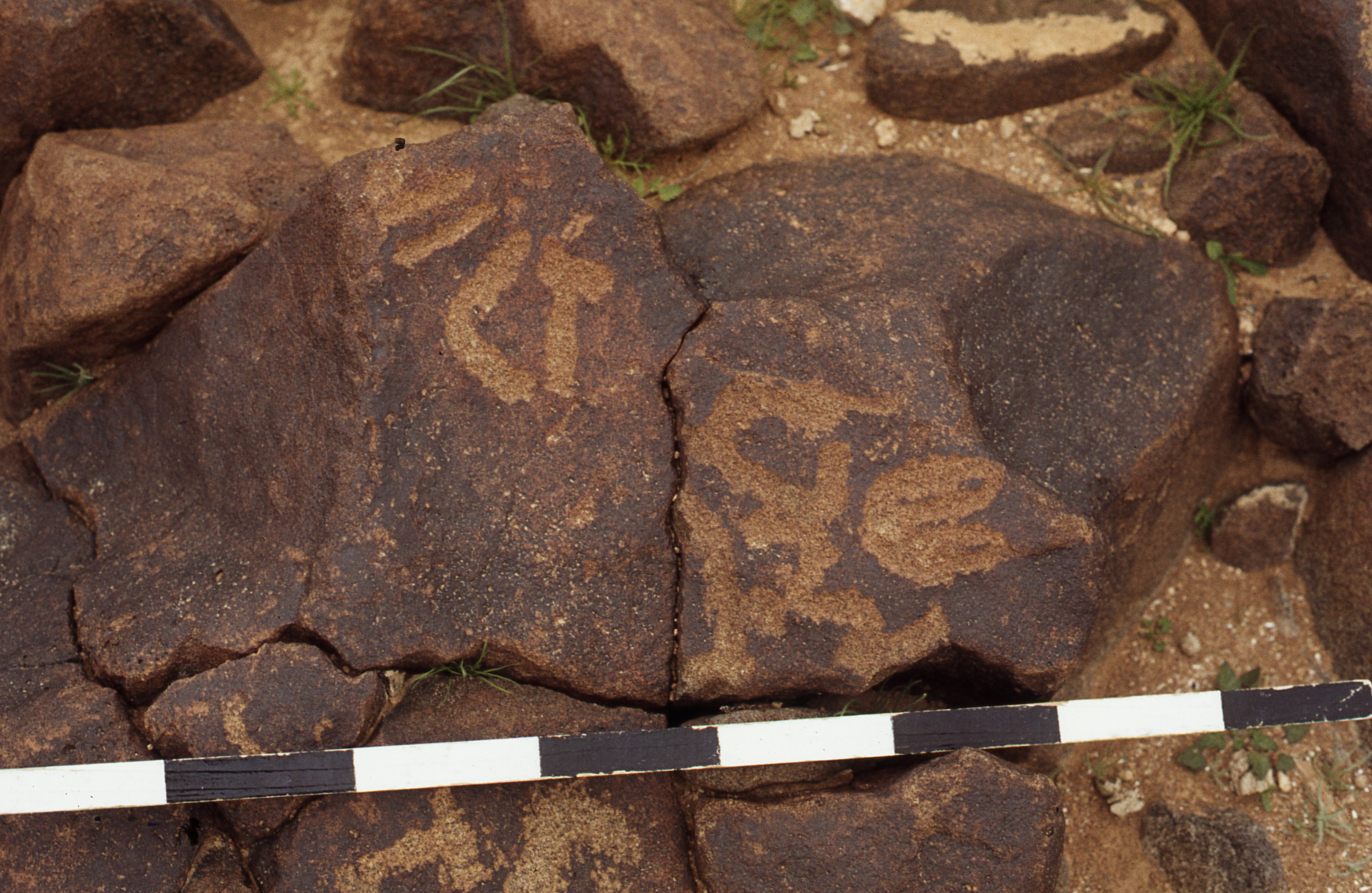 inscription of siglum CEDS 231