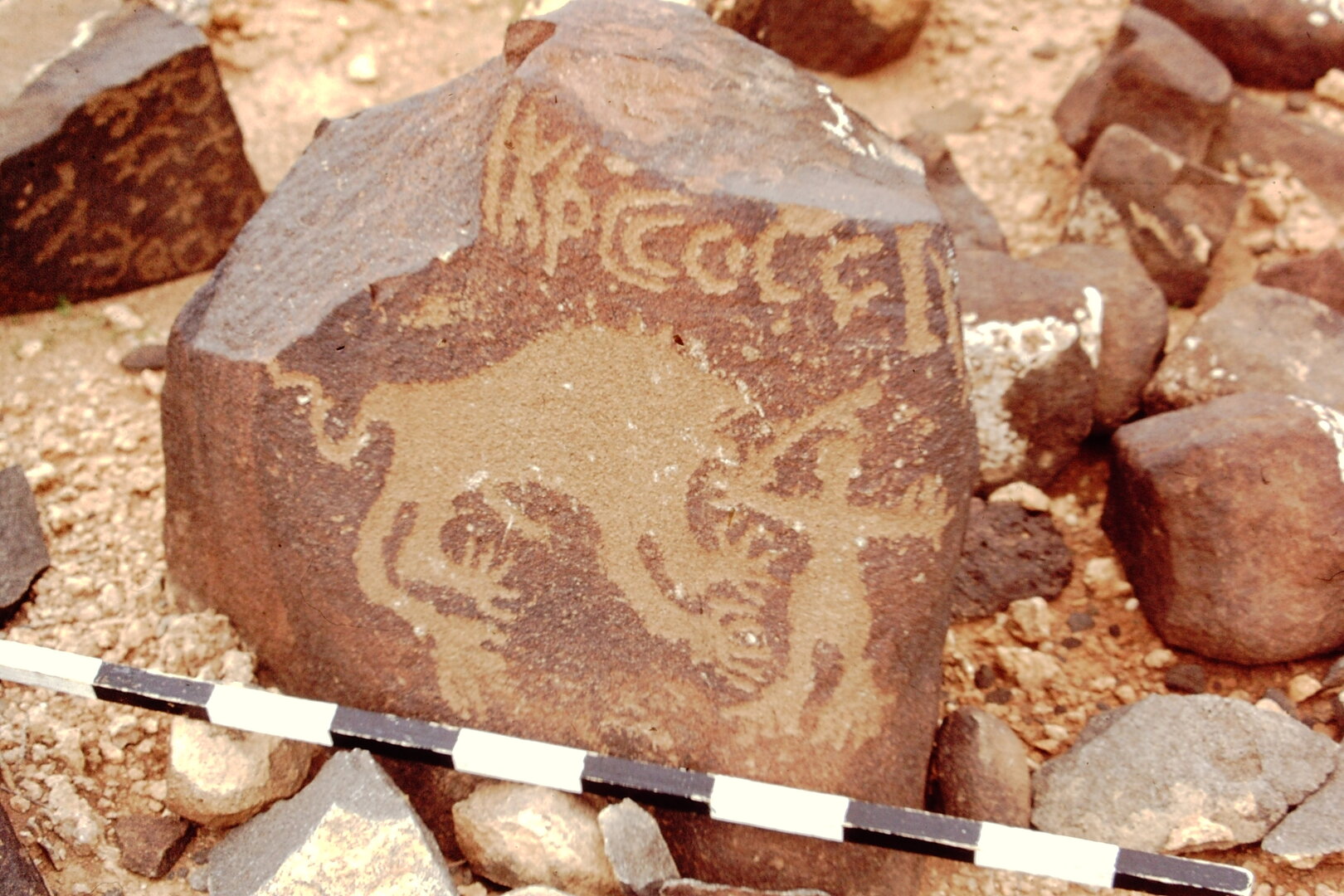 inscription of siglum CEDS 237