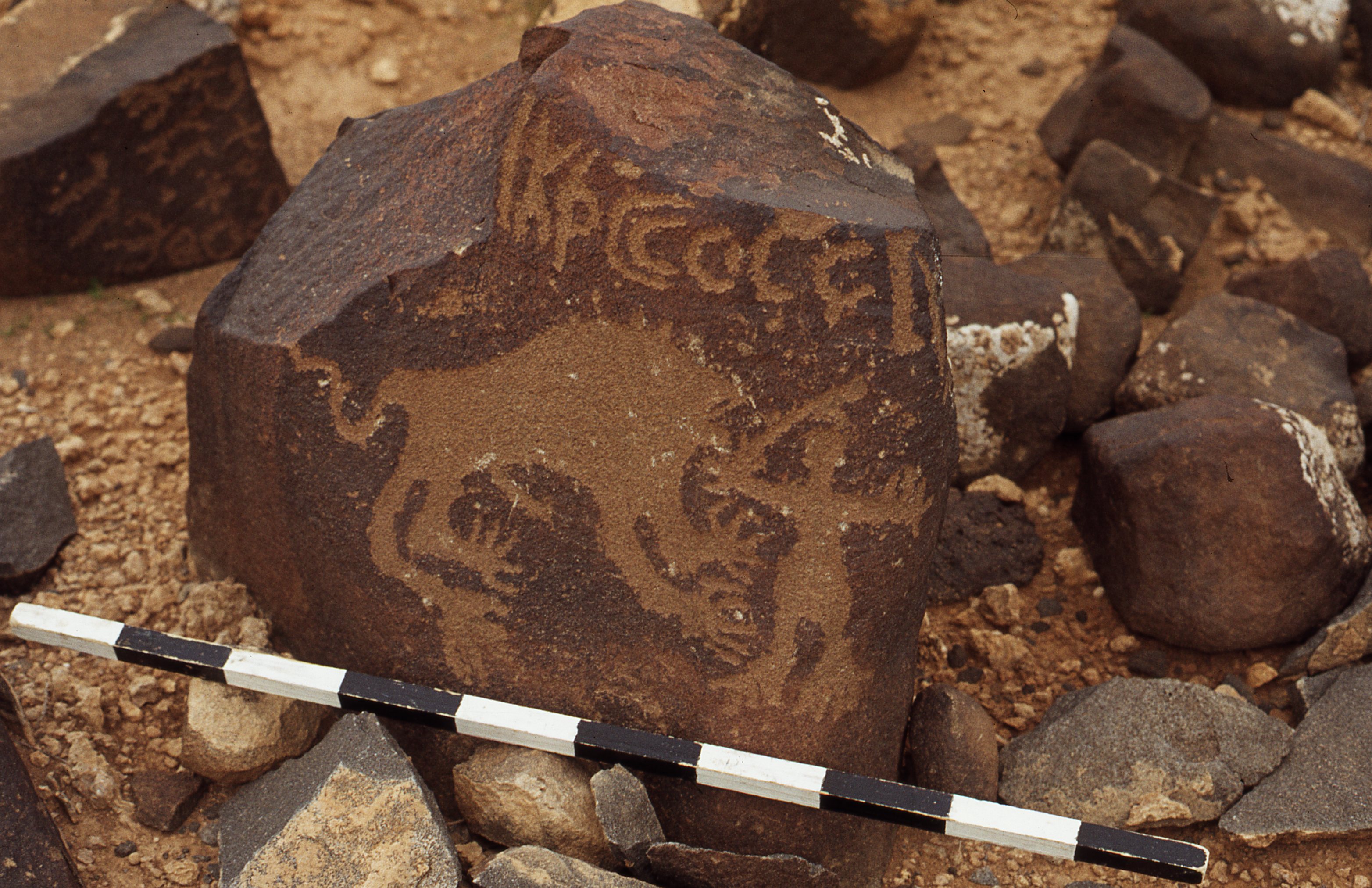 inscription of siglum CEDS 237