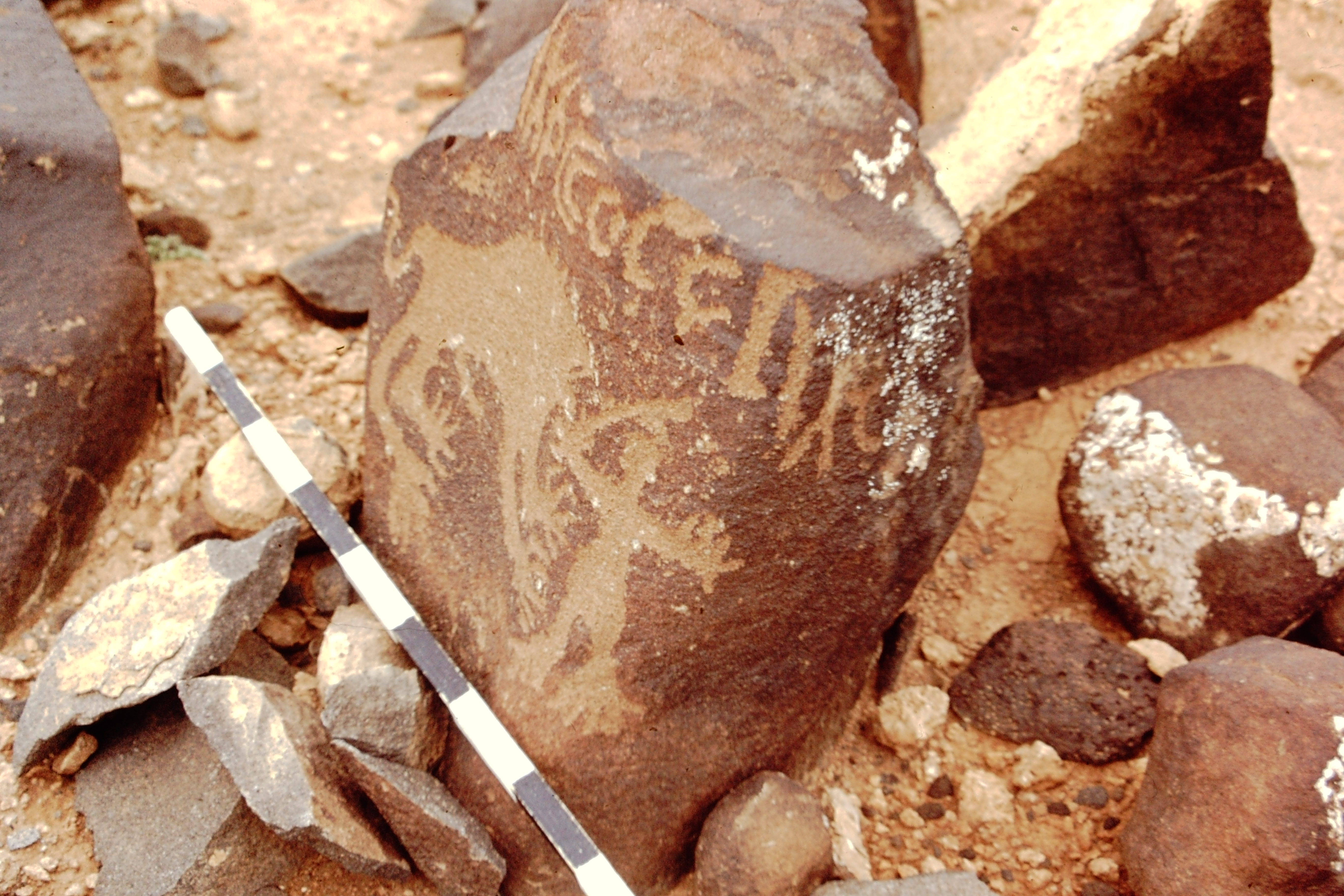 inscription of siglum CEDS 237