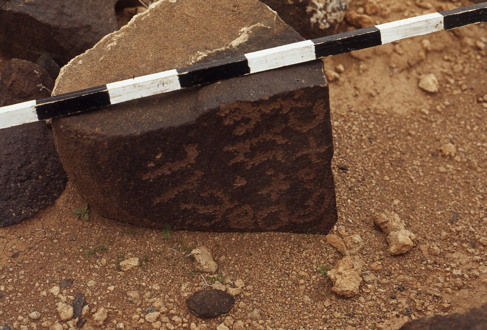 inscription of siglum CEDS 238