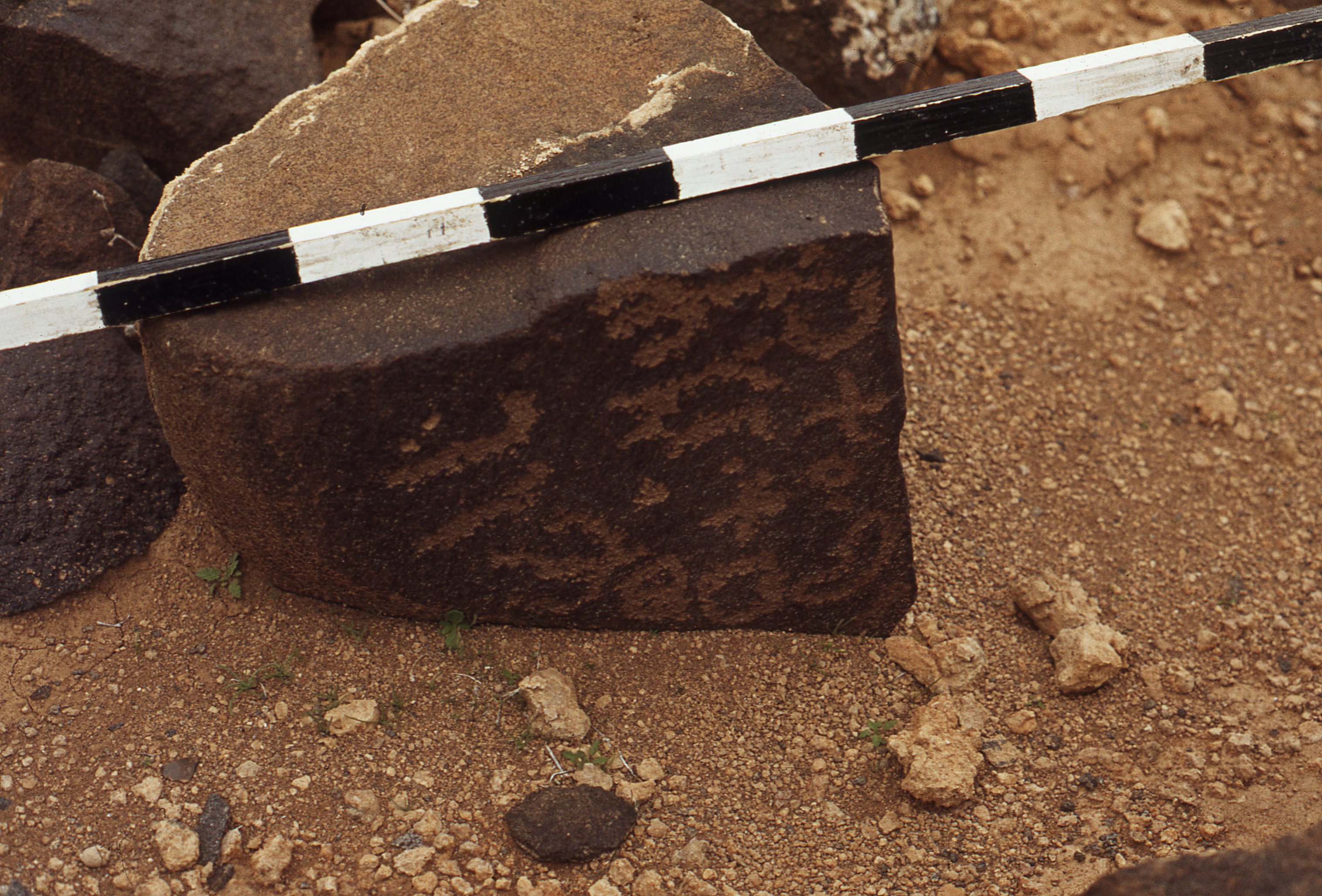 inscription of siglum CEDS 238
