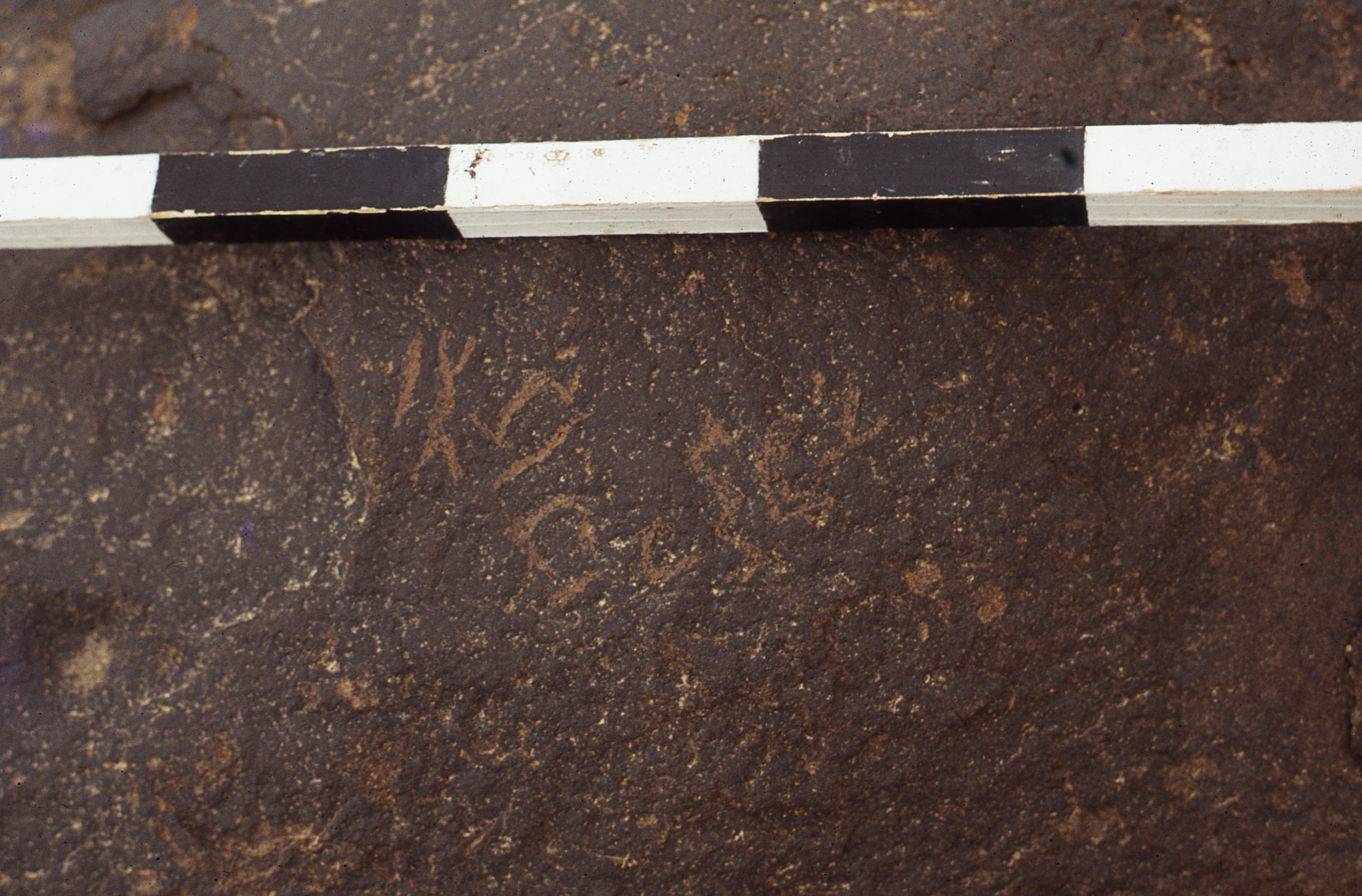 inscription of siglum CEDS 239