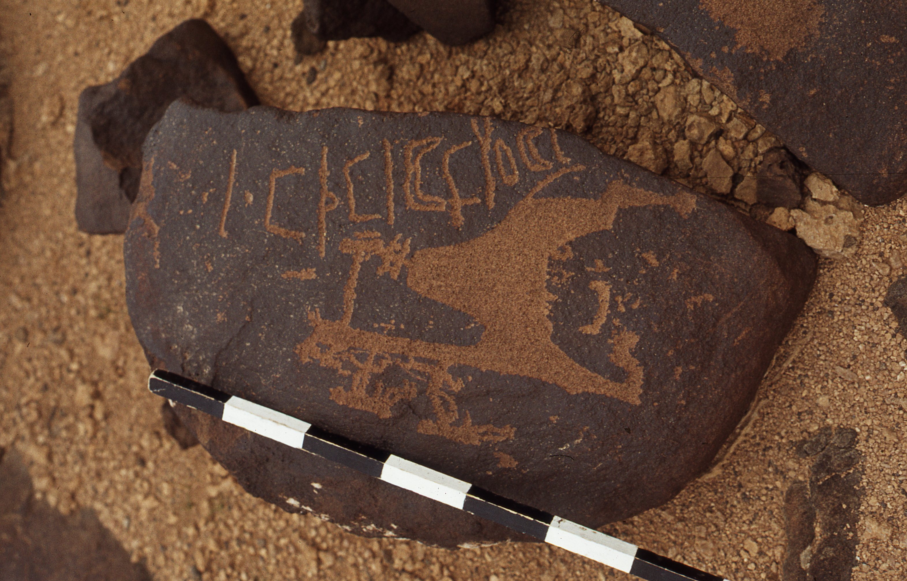 inscription of siglum CEDS 241