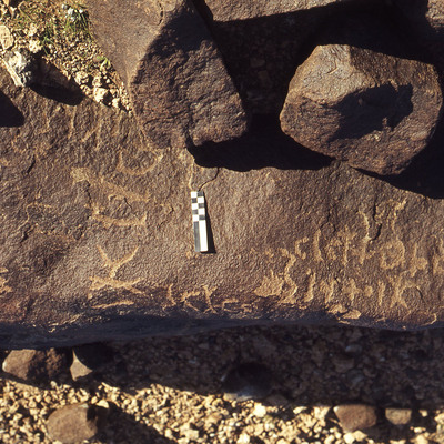 inscription of siglum CEDS 244