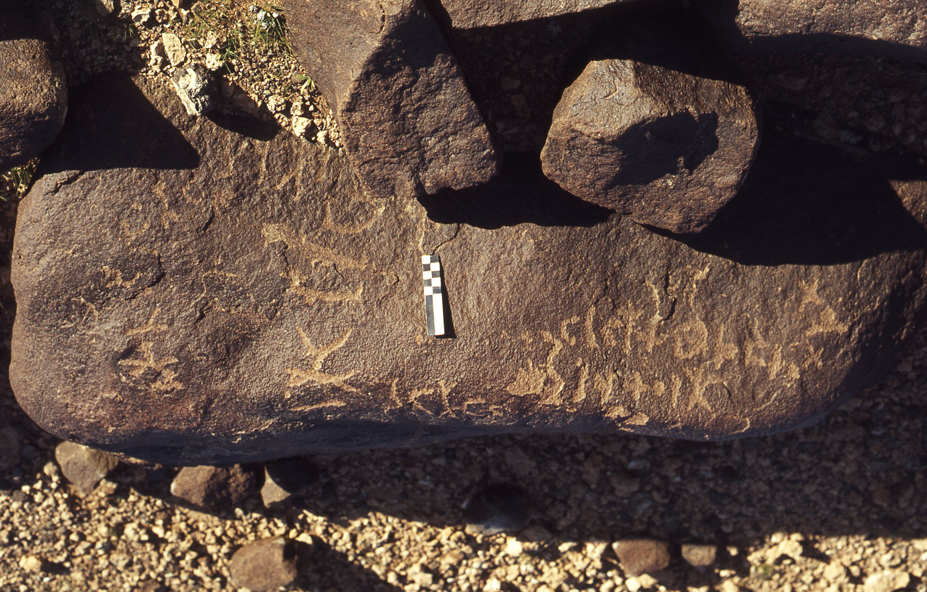 inscription of siglum CEDS 244