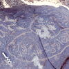 inscription of siglum CEDS 251